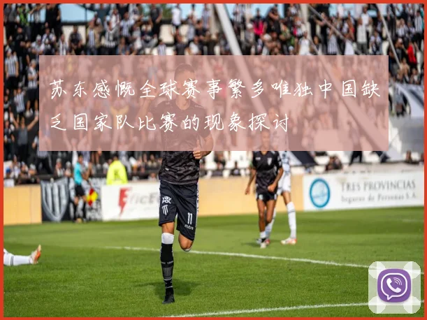 苏东感慨全球赛事繁多唯独中国缺乏国家队比赛的现象探讨