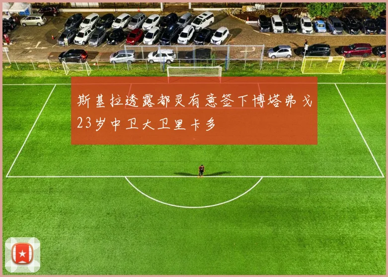 斯基拉透露都灵有意签下博塔弗戈23岁中卫大卫里卡多